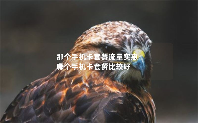 那个手机卡套餐流量实惠-哪个手机卡套餐比较好
