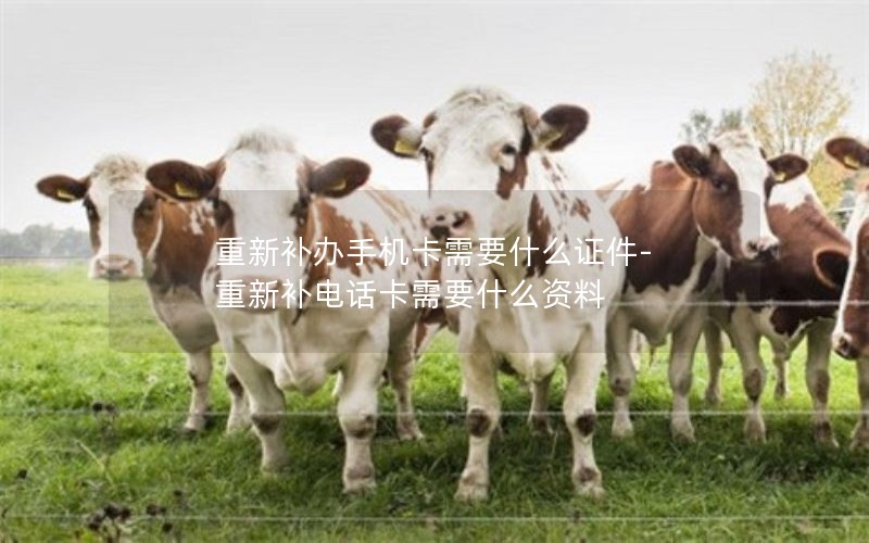 深圳电信专用流量卡套餐_深圳电信号码卡套餐