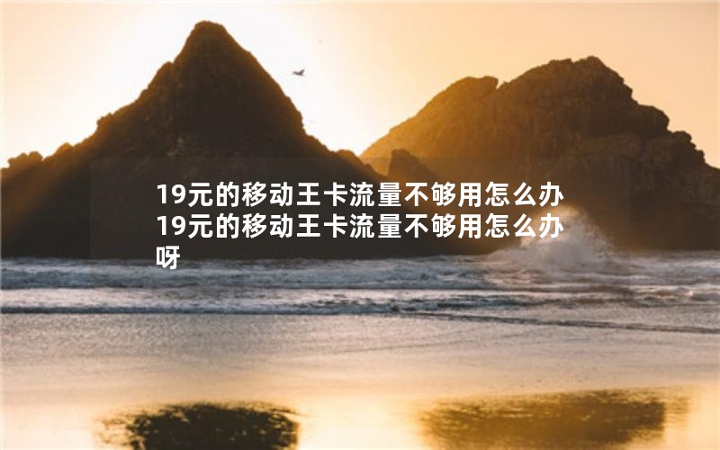 19元的移动王卡流量不够用怎么办 19元的移动王卡流量不够用怎么办呀