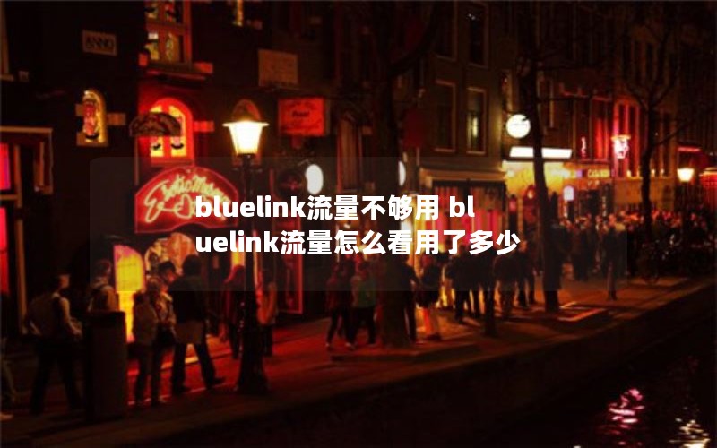 bluelink流量不够用 bluelink流量怎么看用了多少