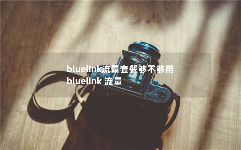 bluelink流量套餐够不够用 bluelink 流量