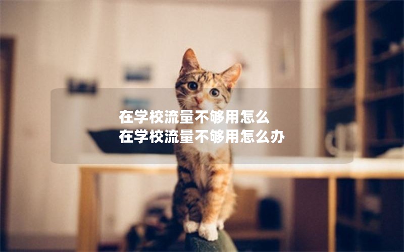 移动纯无限流量卡套餐_移动纯无限流量卡套餐有哪些