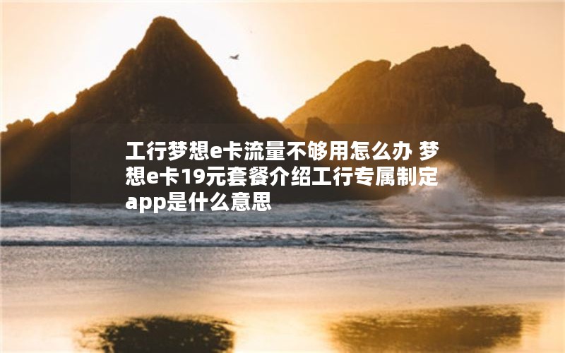 工行梦想e卡流量不够用怎么办 梦想e卡19元套餐介绍工行专属制定app是什么意思