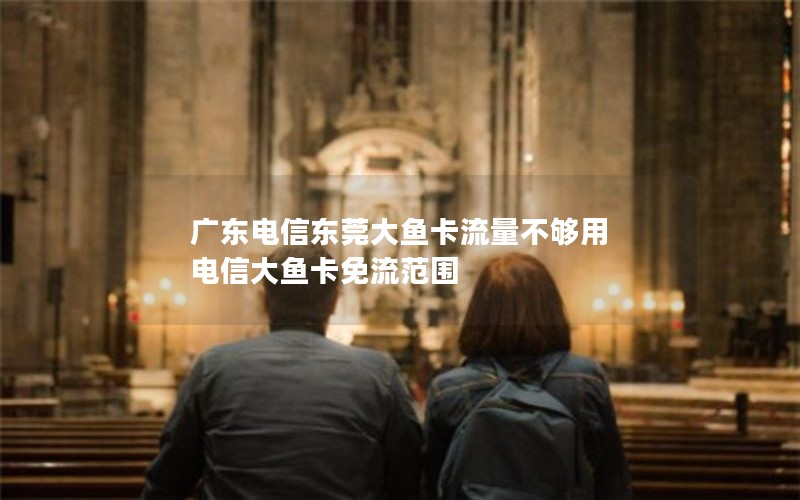 广东电信东莞大鱼卡流量不够用 电信大鱼卡免流范围