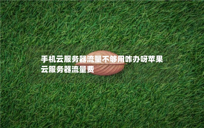 手机云服务器流量不够用咋办呀苹果 云服务器流量费