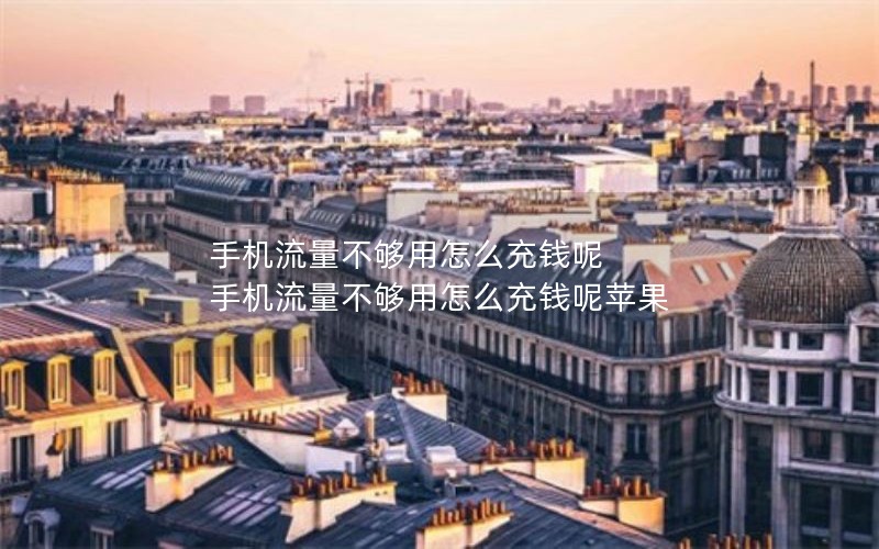 手机流量不够用怎么充钱呢 手机流量不够用怎么充钱呢苹果