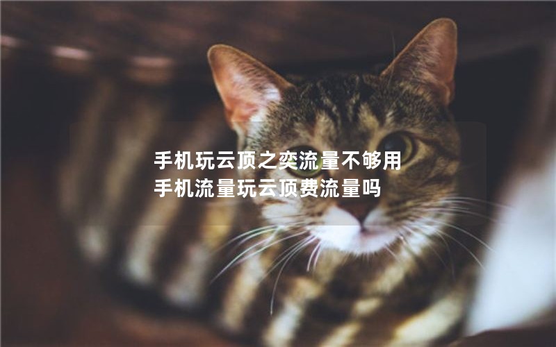 手机玩云顶之奕流量不够用 手机流量玩云顶费流量吗