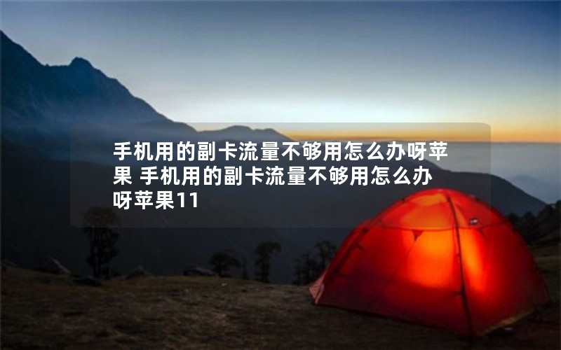 手机用的副卡流量不够用怎么办呀苹果 手机用的副卡流量不够用怎么办呀苹果11