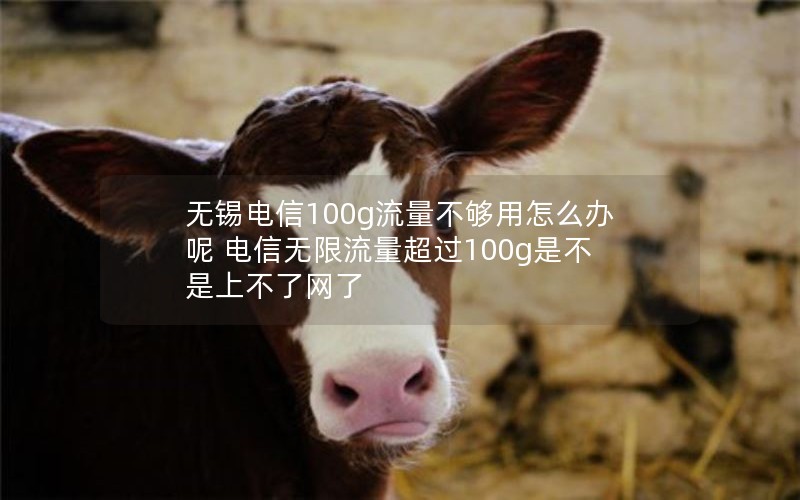 无锡电信100g流量不够用怎么办呢 电信无限流量超过100g是不是上不了网了