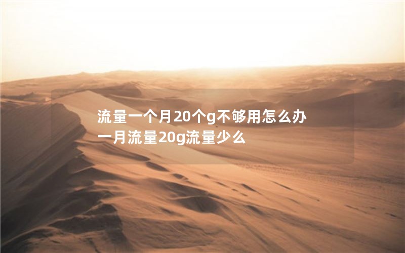 流量一个月20个g不够用怎么办 一月流量20g流量少么