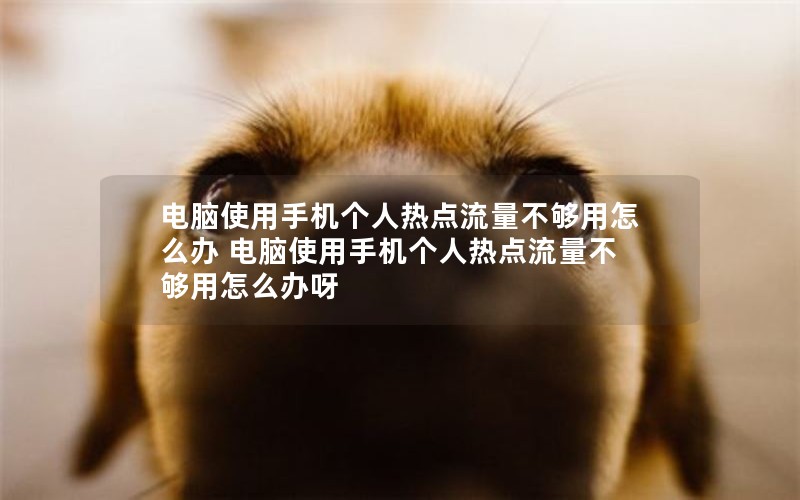 电脑使用手机个人热点流量不够用怎么办 电脑使用手机个人热点流量不够用怎么办呀
