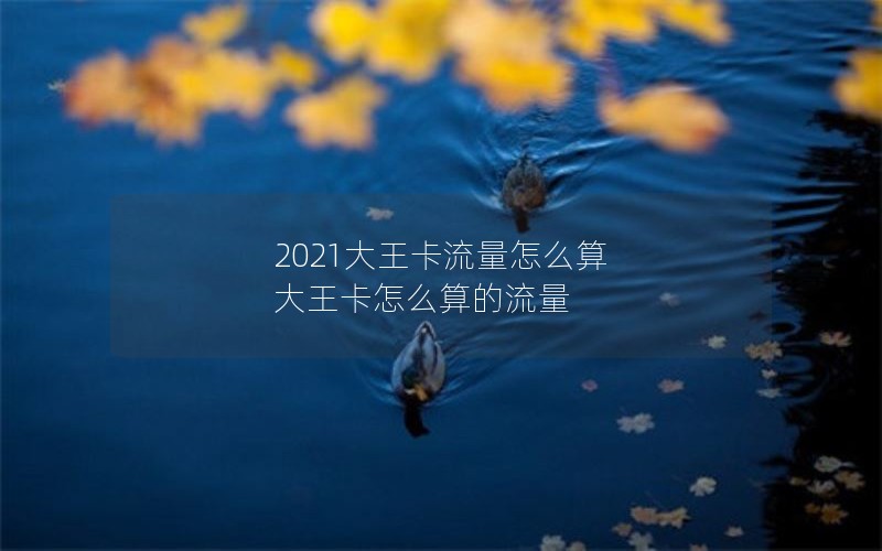 2021大王卡流量怎么算 大王卡怎么算的流量