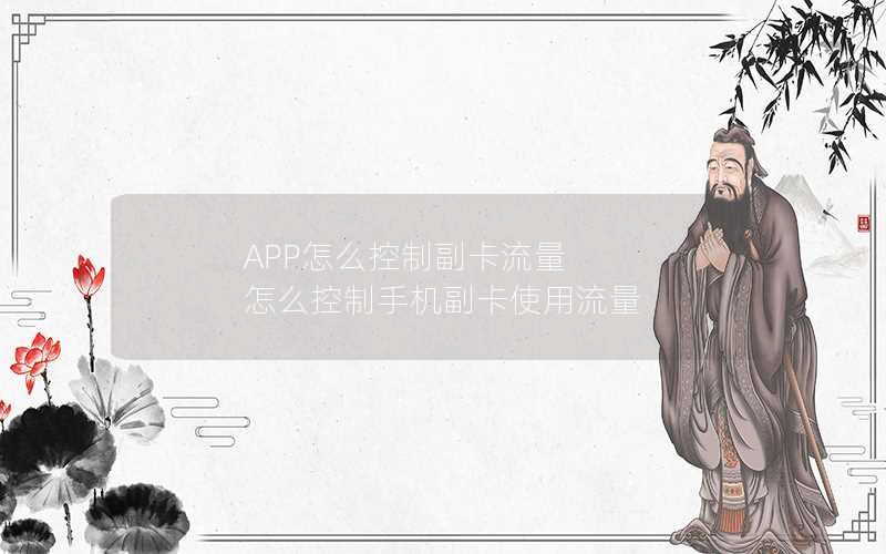 APP怎么控制副卡流量 怎么控制手机副卡使用流量