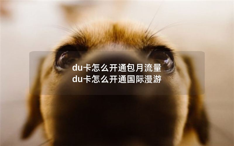 du卡怎么开通包月流量 du卡怎么开通国际漫游