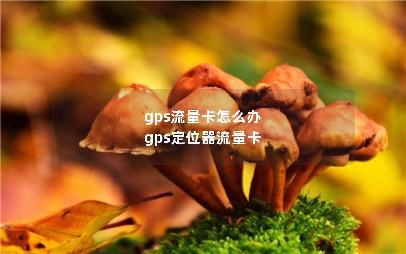 gps流量卡怎么办 gps定位器流量卡