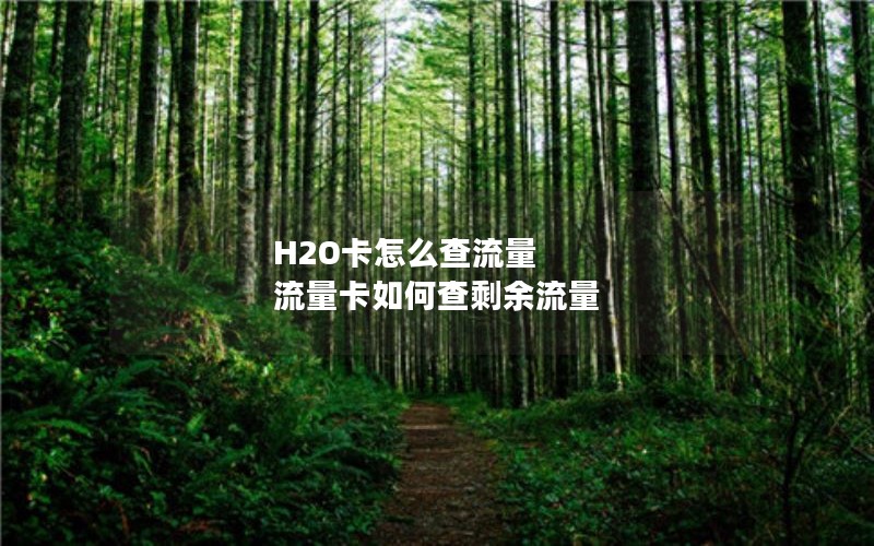 H2O卡怎么查流量 流量卡如何查剩余流量