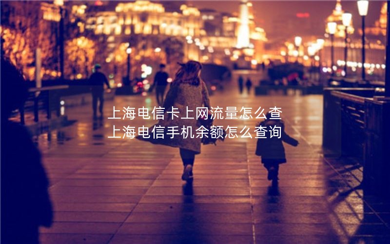 上海电信卡上网流量怎么查 上海电信手机余额怎么查询