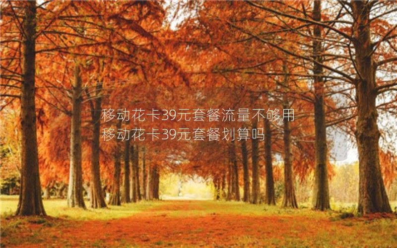 移动花卡39元套餐流量不够用 移动花卡39元套餐划算吗
