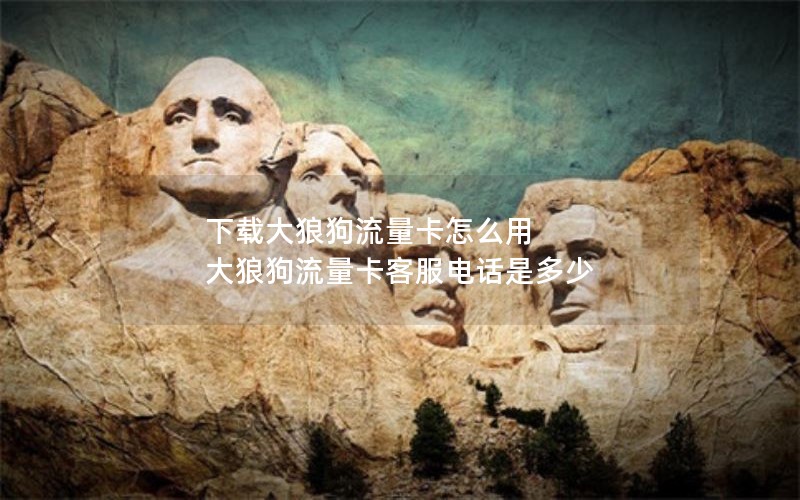 下载大狼狗流量卡怎么用 大狼狗流量卡客服电话是多少
