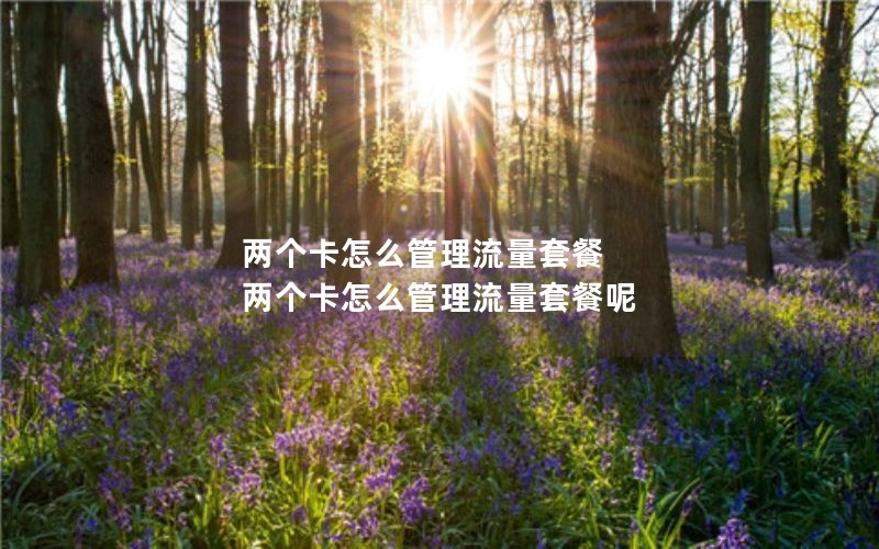 移动花卡宝藏版定套餐_移动花卡宝藏版2020-19元套餐详情