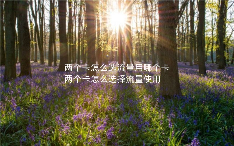 两个卡怎么选流量用哪个卡 两个卡怎么选择流量使用