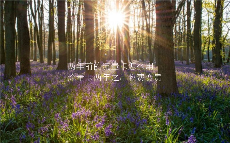 移动花卡宝藏版芝麻卡套餐_移动花卡宝藏卡芝麻卡有区别吗