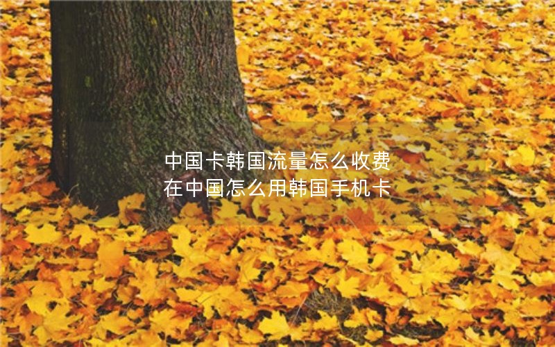 中国卡韩国流量怎么收费 在中国怎么用韩国手机卡