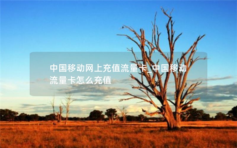 移动花卡流量卡套餐介绍_移动花卡套餐资费详解