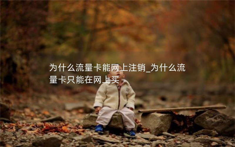 为什么流量卡能网上注销_为什么流量卡只能在网上买