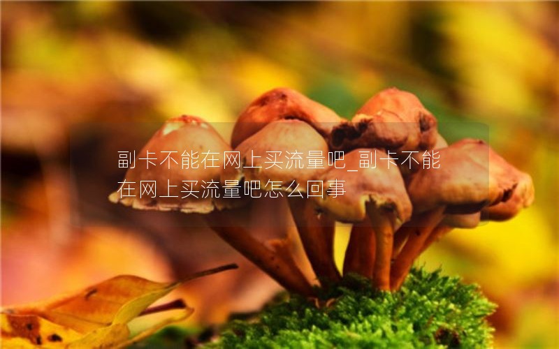 副卡不能在网上买流量吧_副卡不能在网上买流量吧怎么回事