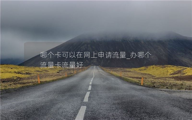 哪个卡可以在网上申请流量_办哪个流量卡流量好