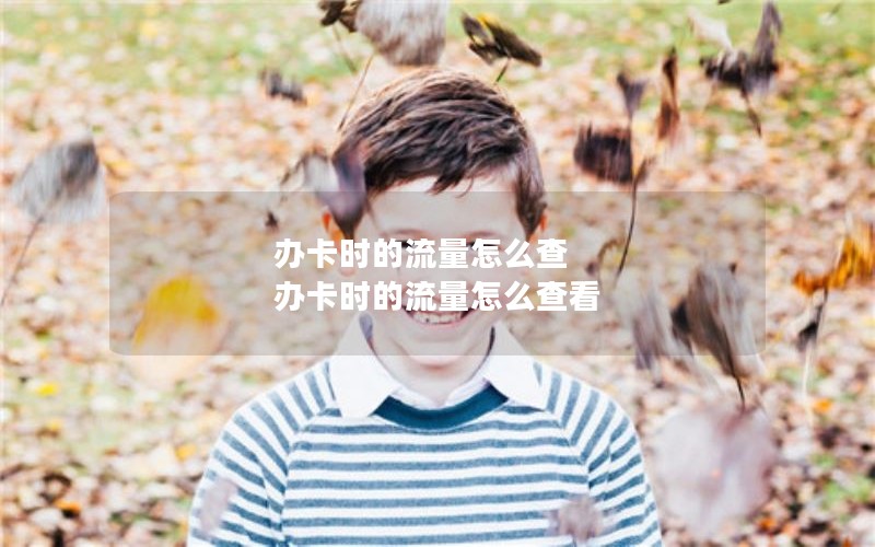 办卡时的流量怎么查 办卡时的流量怎么查看