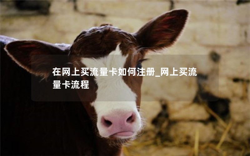 移动花卡购买流量套餐_移动花卡的套餐