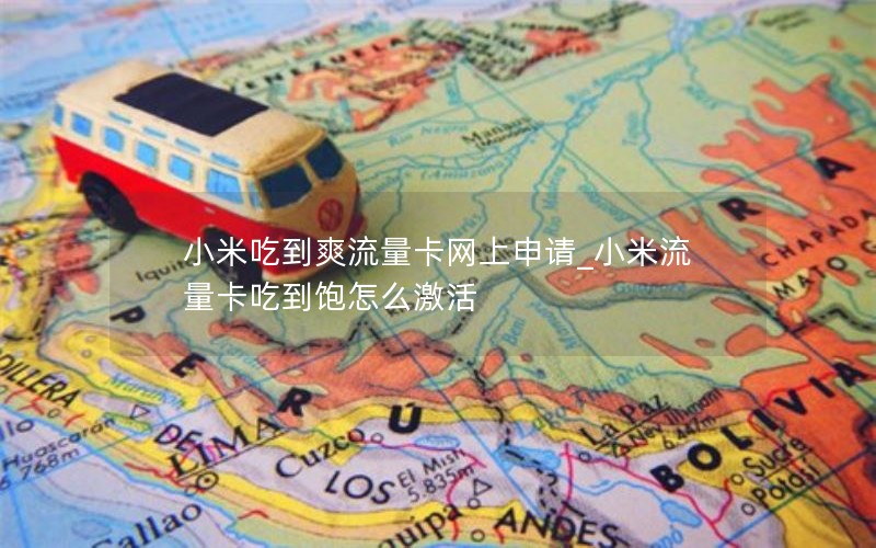 小米吃到爽流量卡网上申请_小米流量卡吃到饱怎么激活