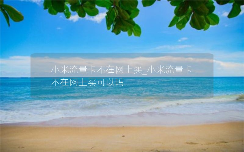 小米流量卡不在网上买_小米流量卡不在网上买可以吗