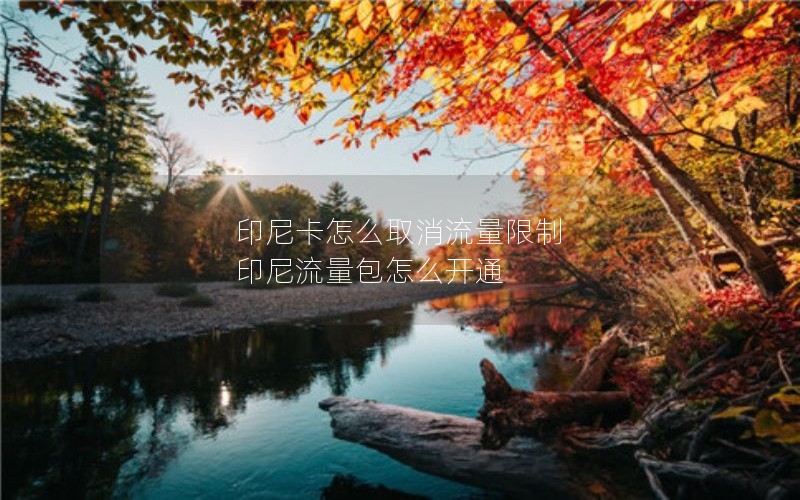 印尼卡怎么取消流量限制 印尼流量包怎么开通