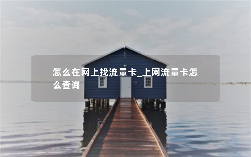 怎么在网上找流量卡_上网流量卡怎么查询