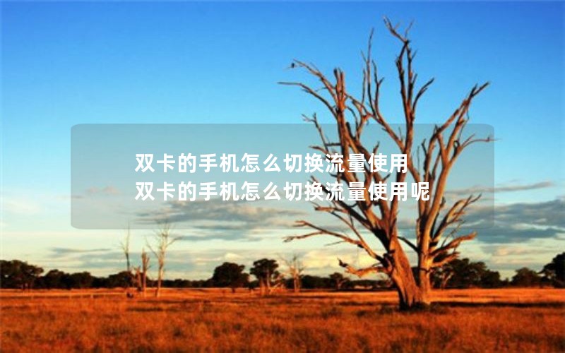 双卡的手机怎么切换流量使用 双卡的手机怎么切换流量使用呢