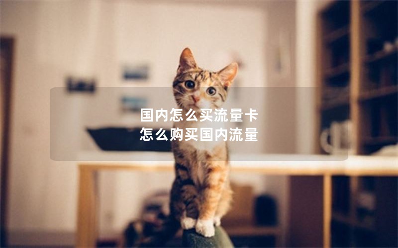 国内怎么买流量卡 怎么购买国内流量