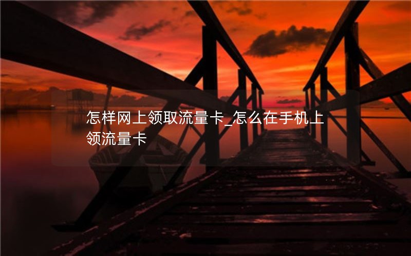 怎样网上领取流量卡_怎么在手机上领流量卡