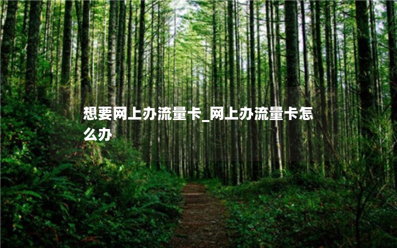 想要网上办流量卡_网上办流量卡怎么办