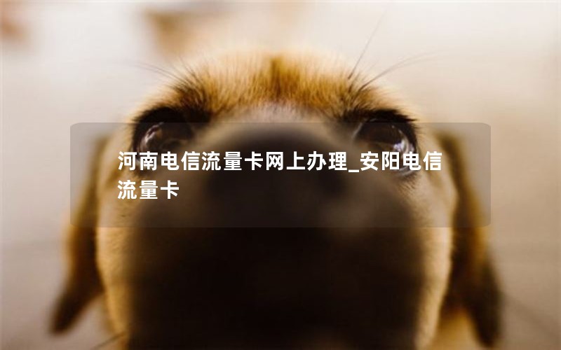 河南电信流量卡网上办理_安阳电信流量卡