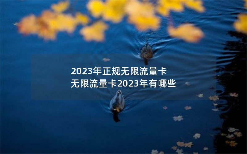 2023年正规无限流量卡 无限流量卡2023年有哪些