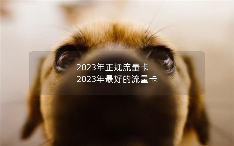 2023年正规流量卡 2023年最好的流量卡