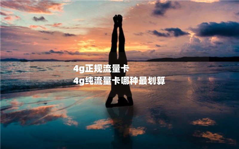 4g正规流量卡 4g纯流量卡哪种最划算