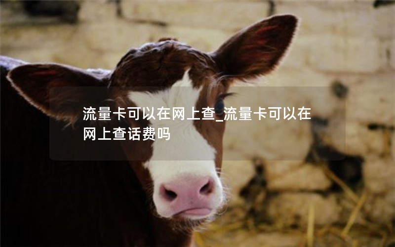 流量卡可以在网上查_流量卡可以在网上查话费吗