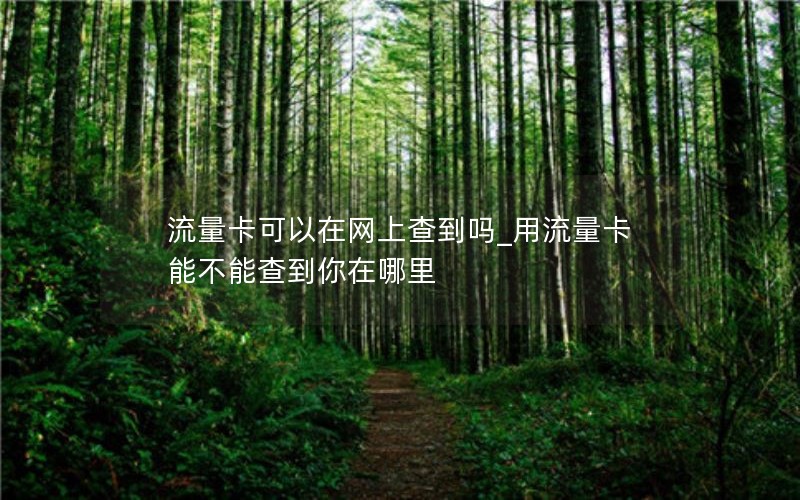 流量卡可以在网上查到吗_用流量卡能不能查到你在哪里