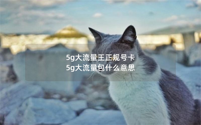 5g大流量王正规号卡 5g大流量包什么意思