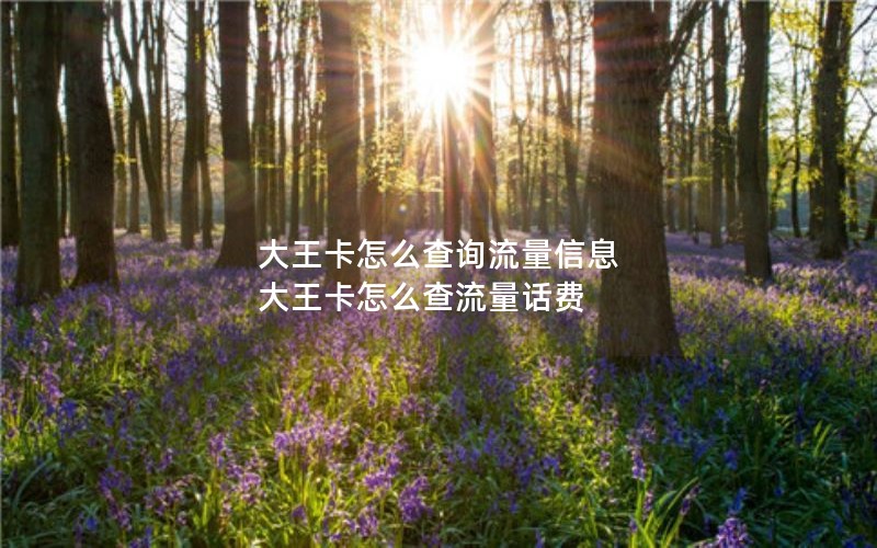 澄迈电信流量卡套餐_海南电信卡套餐