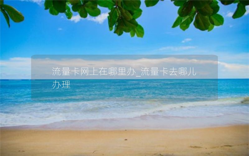 流量卡网上在哪里办_流量卡去哪儿办理